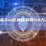 CertiK从Sui区块链获得50万美元漏洞赏金