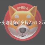 0x34d开头地址向币安转入51.2万枚HOOK