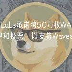 DWF Labs承诺将50万枚WAVES投入质押和投票，以支持WavesDAO启动