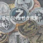 比特币域名 BNS 炒作热潮，是机会还是风险？