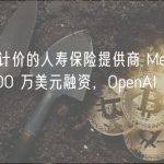 以比特币计价的人寿保险提供商 Meanwhile 完成 1900 万美元融资，OpenAI CEO 等投资