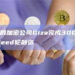 基于AI的加密公司Giza完成300万美元Pre-Seed轮融资