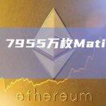 数据：7955万枚Matic发生转移