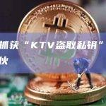 警方抓获“KTV盗取私钥”案犯罪团伙
