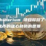 这个 Shibarium 项目释放了 Shiba Inu 代币的雄心勃勃的愿景
