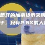 调查：葡萄牙的加密货币采用率低于全球平均水平，只有2.6%的人持有数字资产