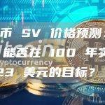 比特币 SV 价格预测：BSV 能否在 100 年实现 2023 美元的目标？
