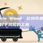 Cathie Wood：比特币是对冲交易对手风险的工具