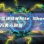 印度L1区块链White Shark完成1600万美元融资