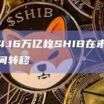 超过4.16万亿枚SHIB在未知钱包之间转移