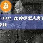 Cholla CEO：比特币是人类下一阶段进步的关键支柱