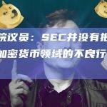 众议院议员：SEC并没有把重点放在加密货币领域的不良行为者身上