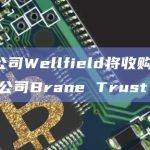 DeFi公司Wellfield将收购数字资产托管公司Brane Trust