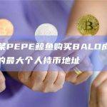 数据：某PEPE鲸鱼购买BALD成为除开发者外的最大个人持币地址