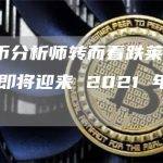 加密货币分析师转而看跌莱特币，称LTC即将迎来 2021 年末的调整