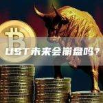 UST未来会崩盘吗？