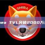 Linea TVL突破2000万美元