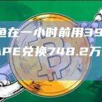 某鲸鱼在一小时前用397,182枚APE兑换748.2万枚PEPE