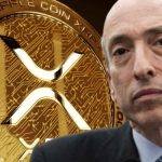 SEC律师：XRP就是证券！法官判决有错考虑上诉