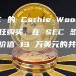 ARK 的 Cathie Wood 正在疯狂购买，在 SEC 恐慌中囤积价值 13 万美元的共享硬币