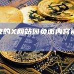 马斯克的X网站因负面内容被印尼封禁