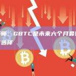 分析师：GBTC是未来六个月最好的加密选择