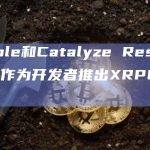 Ripple和Catalyze Research合作为开发者推出XRPL教育计划