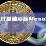 加密支付基础设施Meso完成一轮融资