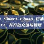 BNB Smart Chain 已集成 PENDLE 并开放充值与提现