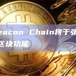 BNB Beacon Chain将于张衡升级中增加暂停区块功能