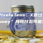 X用户ixela.lens：X通过“Web Money”接收付款可能更为现实