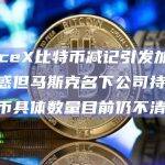 SpaceX比特币减记引发加密社区困惑但马斯克名下公司持有的比特币具体数量目前仍不清楚