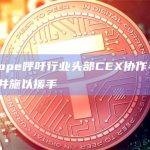 0xScope呼吁行业头部CEX协作寻找nd4.eth并施以援手