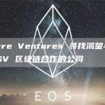 Ayre Ventures 寻找渴望与 BSV 区块链合作的公司