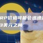 观点：XRP价格可能会迅速波动到10美元到33美元之间