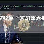 比特币昨收复“失窃黑天鹅”大半失地