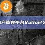 DeFi资产管理平台Valio已公开上线