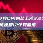 美国7月CPI同比上涨3.2% 结束此前连续12个月回落