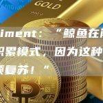 Santiment：“鲸鱼在崩盘后进入积累模式，因为这种山寨币引领复苏！”