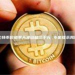 比特币价格单天波动超三千元 专家提示风险