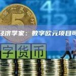 欧洲经济学家：数字欧元项目可能会失败