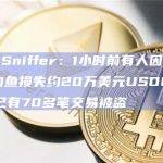 Scam Sniffer：1小时前有人因ERC20网络钓鱼损失约20万美元USDC，几个小时内已有70多笔交易被盗
