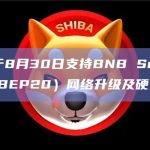 币安将于8月30日支持BNB Smart Chain（BEP20）网络升级及硬分叉