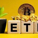 SEC正式启动审查贝莱德等6档比特币现货ETF！最长可耗240天