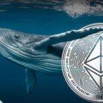 巨鲸抄底17901枚ETH！V神却反向卖出600以太坊