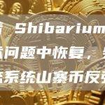随着 Shibarium 从技术问题中恢复，柴犬生态系统山寨币反弹