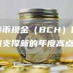 比特币现金（BCH）价格预测支撑新的年度高点