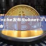 Avalanche发布Subnet-EVM 0.5.4版本