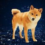 柴犬生态系统重焕活力：新高即将到来？