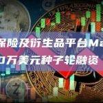 Web3保险及衍生品平台Marquee完成100万美元种子轮融资